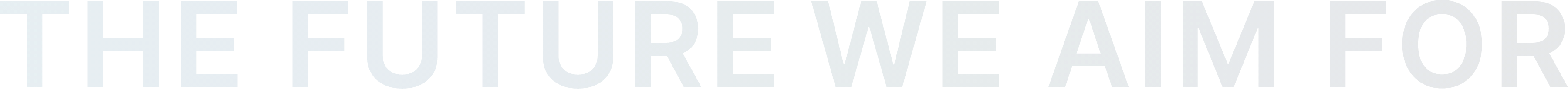 THE FUTURE WE AIM FOR