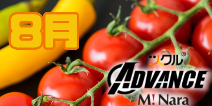 ツクル ミ・ナーラ「ADVANCE教室」