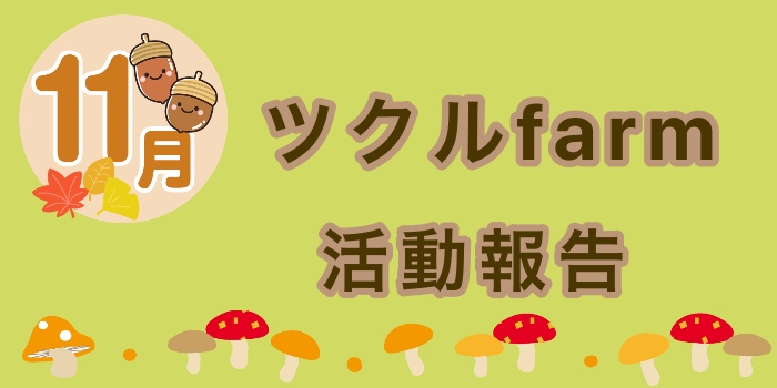 11月☆ツクルfarmの活動報告